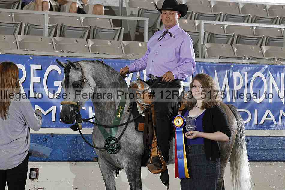 Proof 12r13_5175