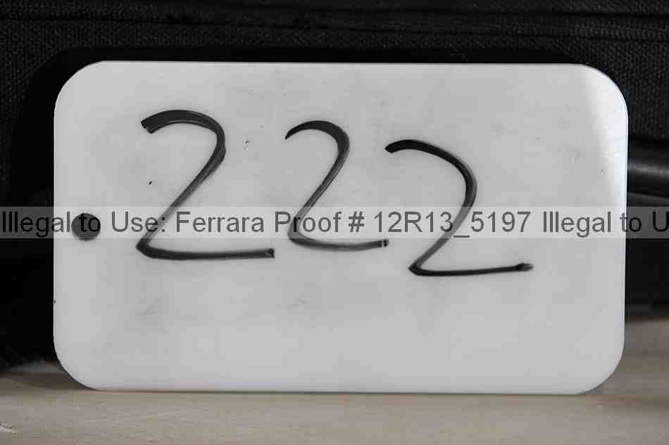 Proof 12r13_5197