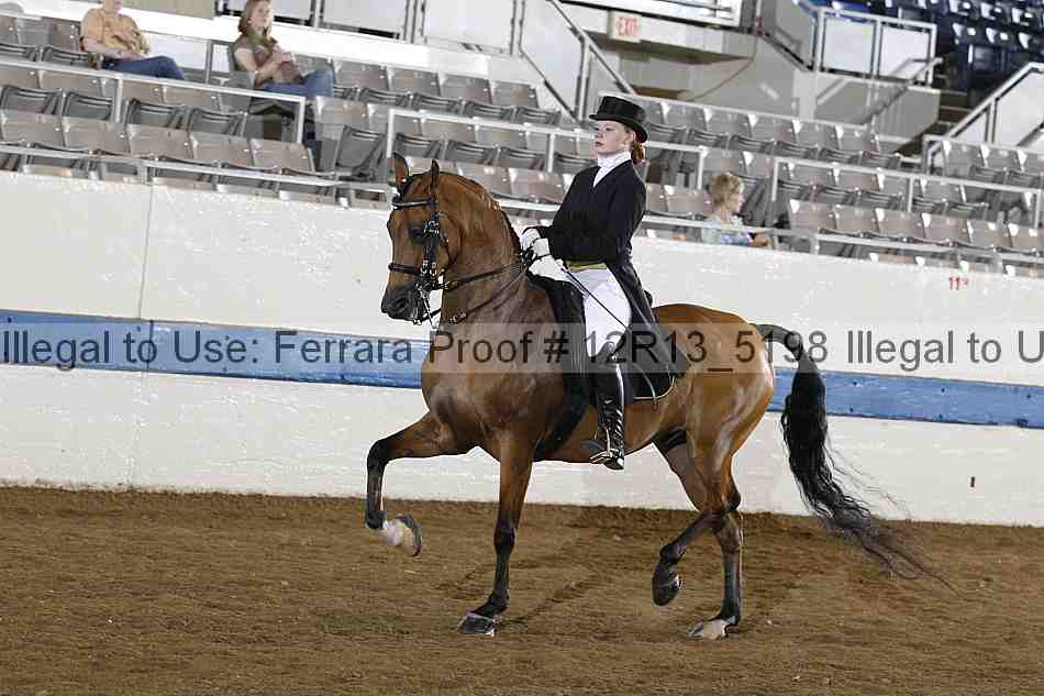 Proof 12r13_5198