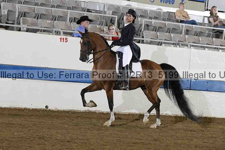 Proof 12r13_5199