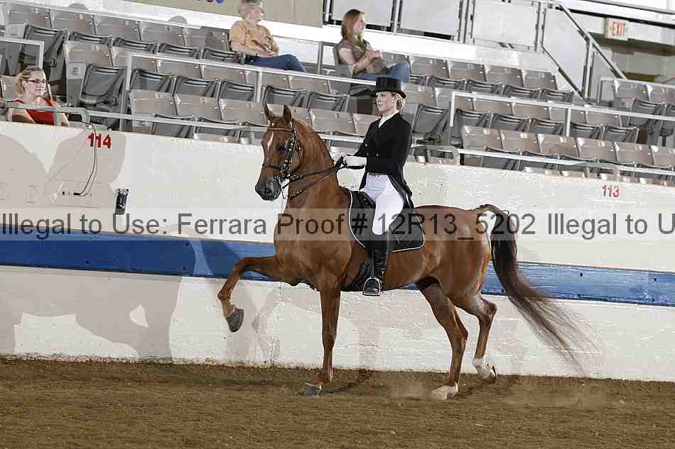 Proof 12r13_5202