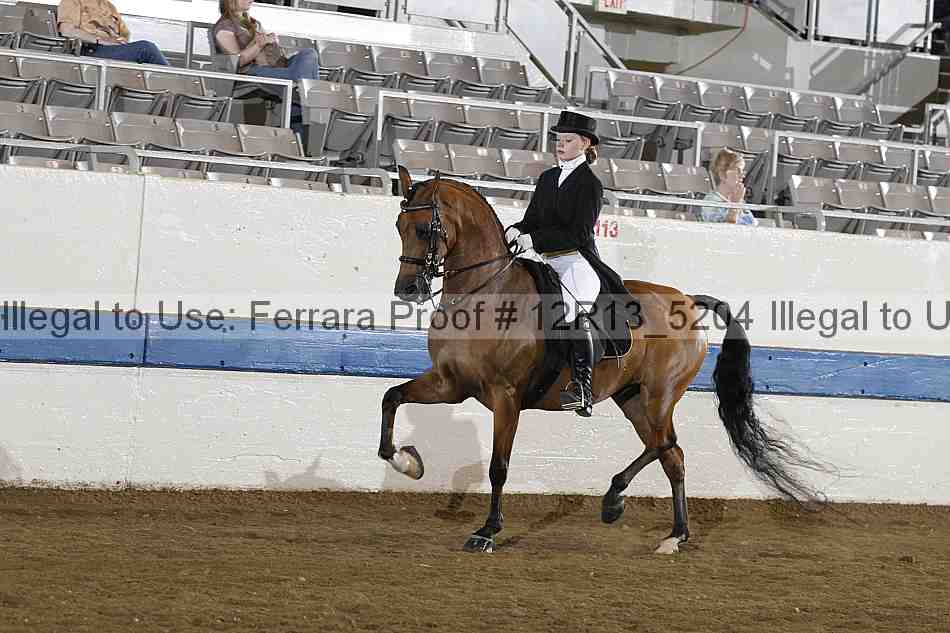 Proof 12r13_5204