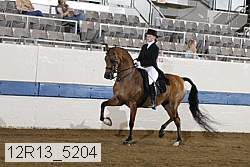 12r13_5204 proof
