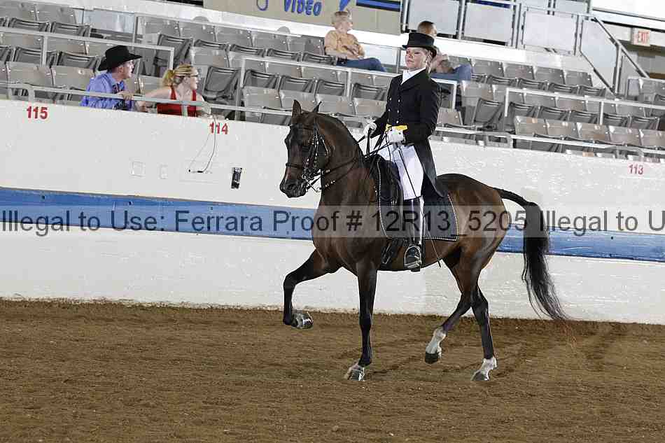 Proof 12r13_5205