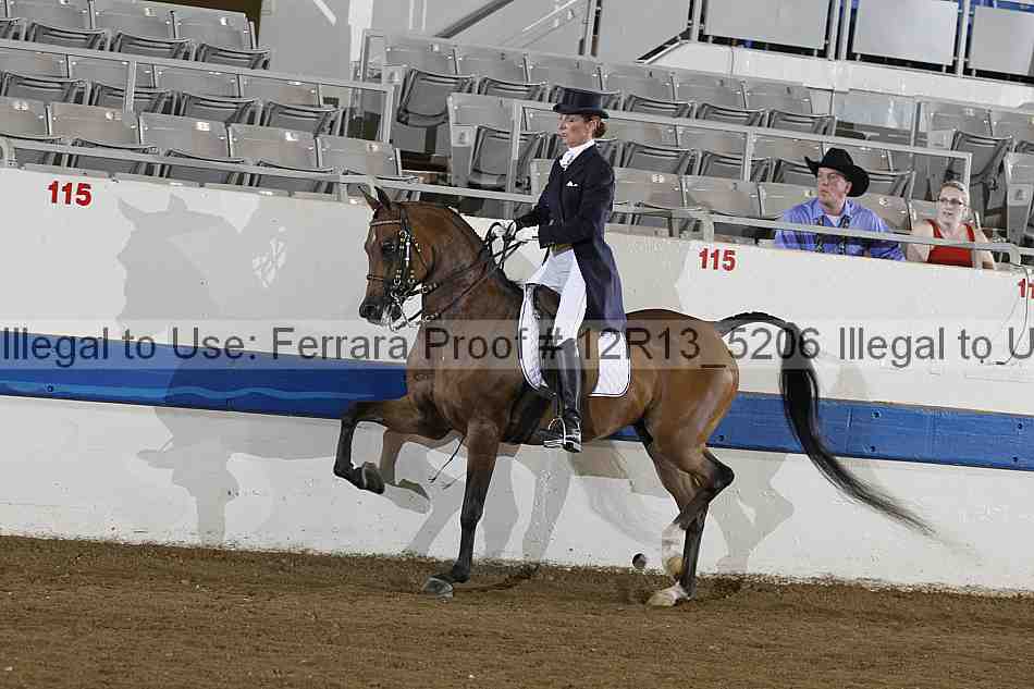 Proof 12r13_5206