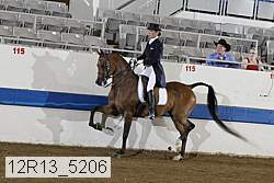 12r13_5206 proof