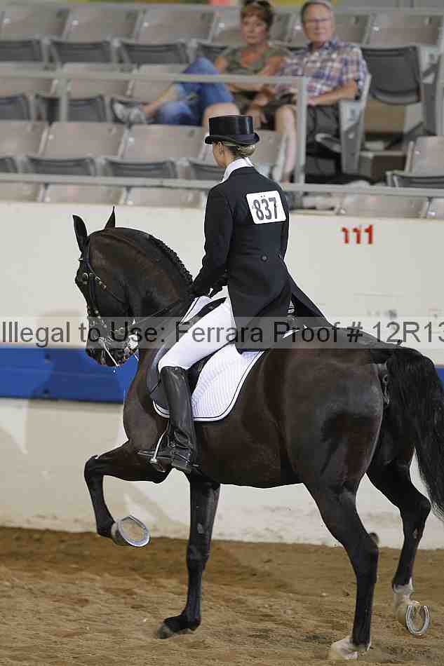 Proof 12r13_5207