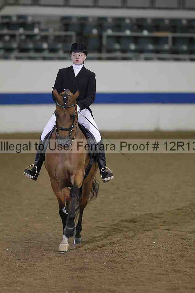 Proof 12r13_5229