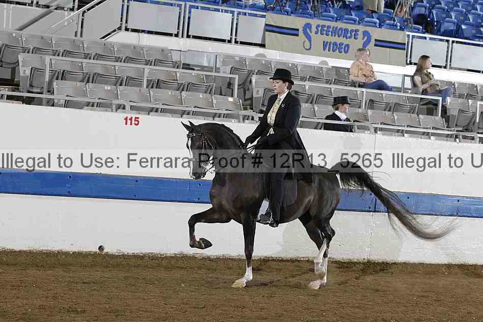Proof 12r13_5265