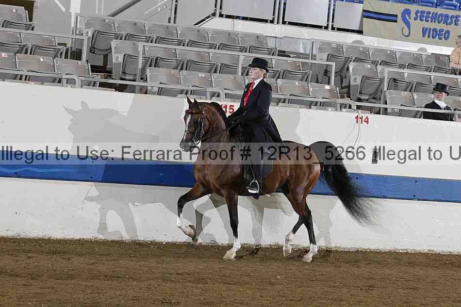 Proof 12r13_5266