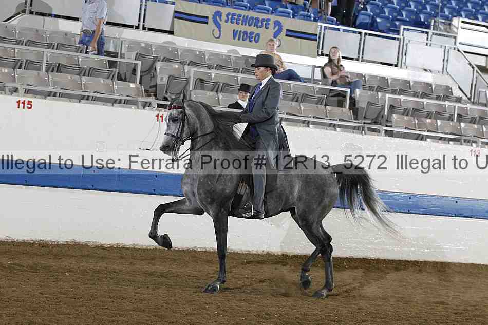 Proof 12r13_5272