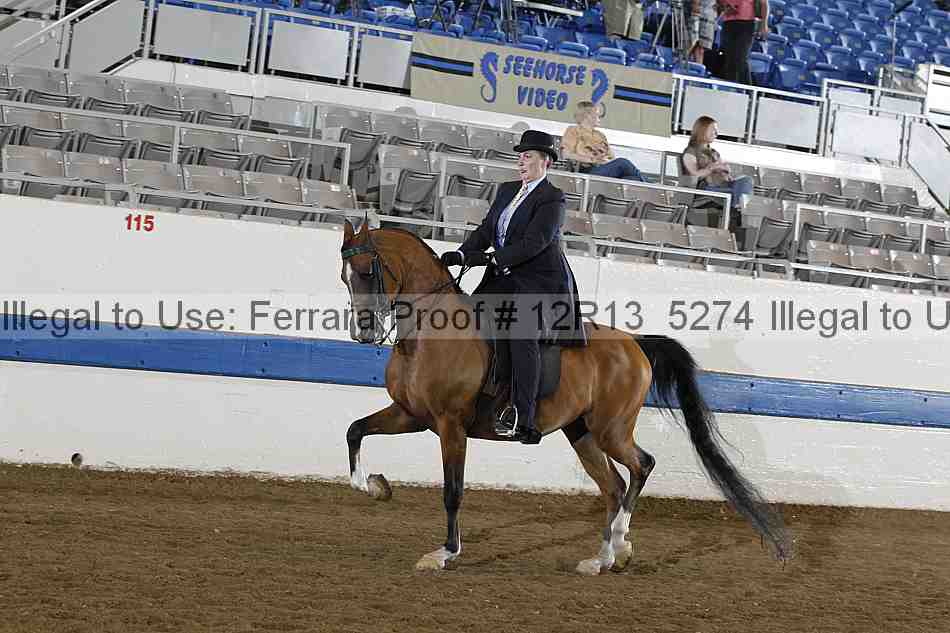 Proof 12r13_5274