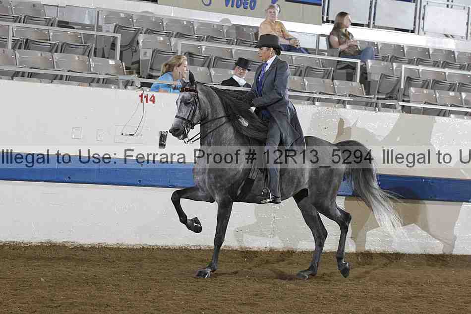 Proof 12r13_5294