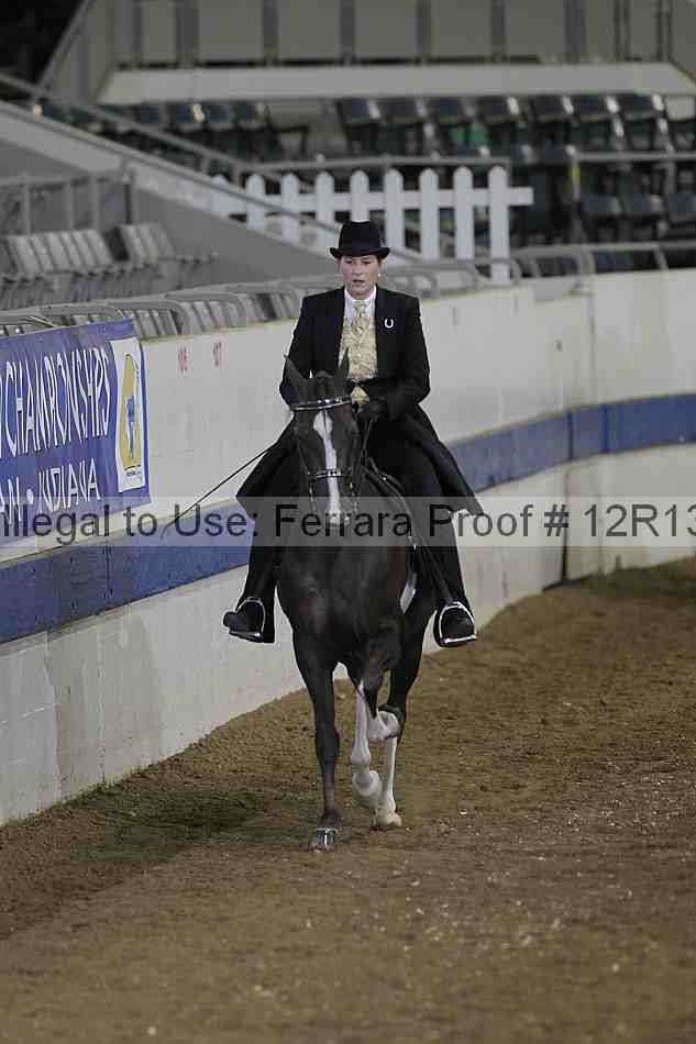 Proof 12r13_5295