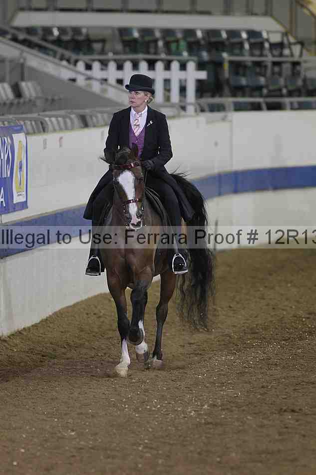 Proof 12r13_5308