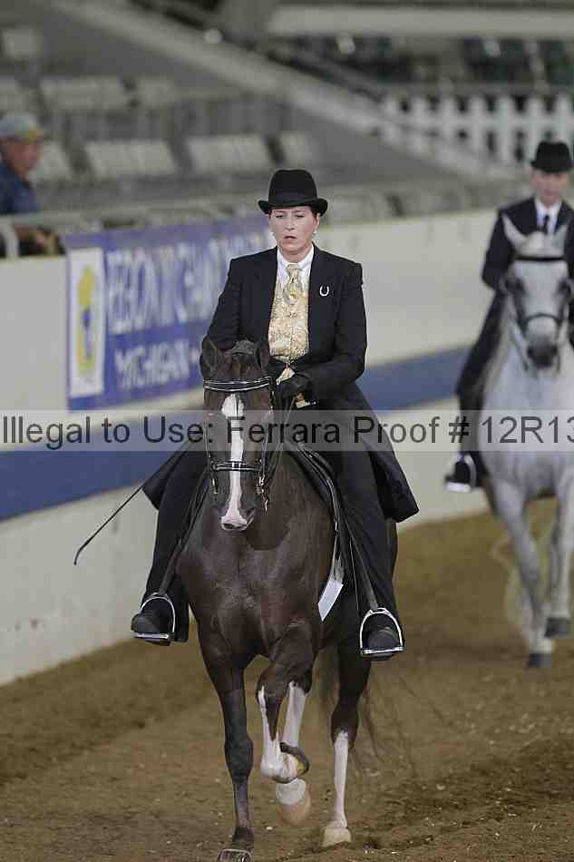 Proof 12r13_5309