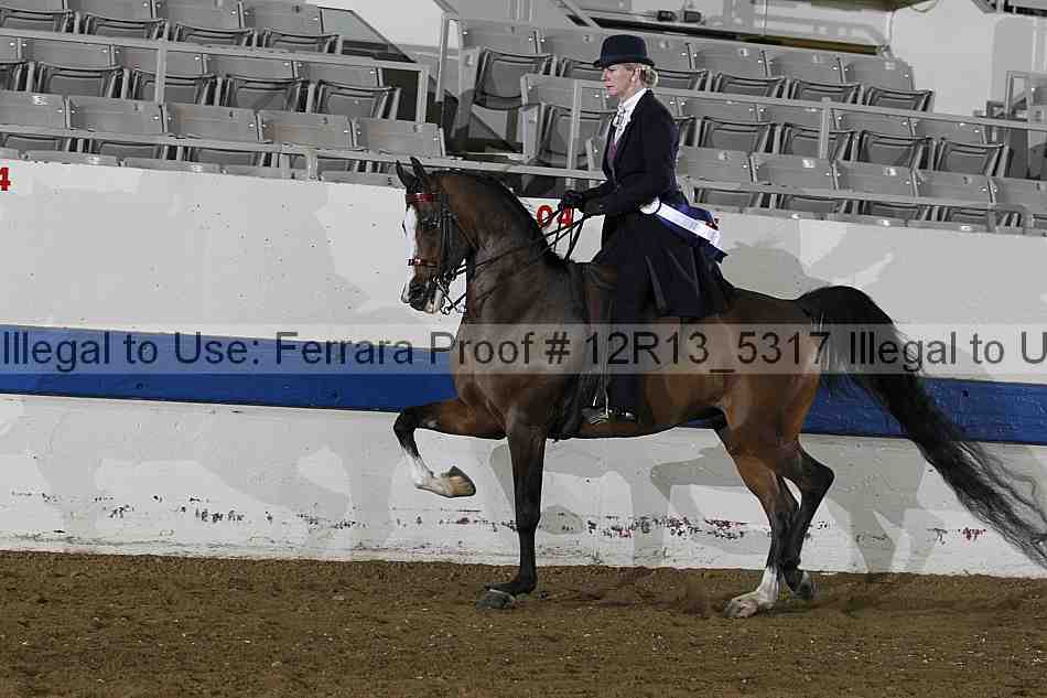 Proof 12r13_5317