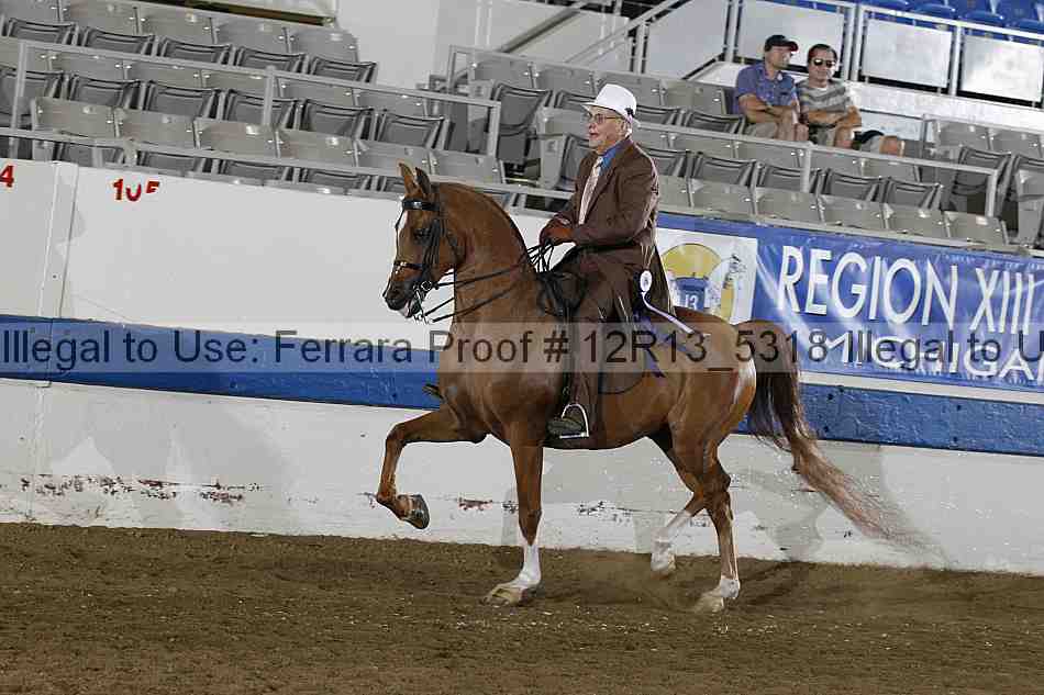 Proof 12r13_5318