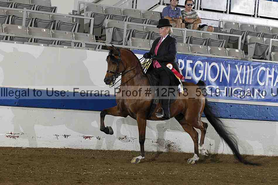 Proof 12r13_5319