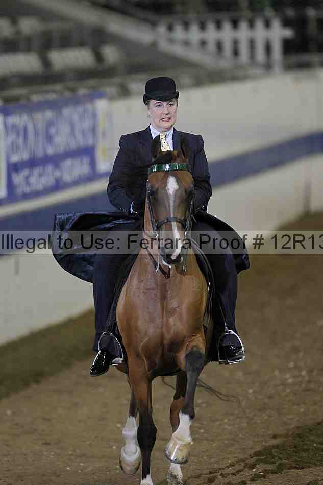 Proof 12r13_5322
