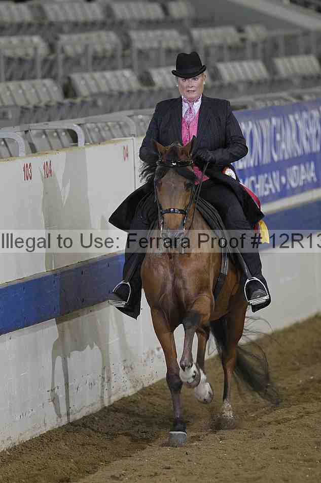 Proof 12r13_5328