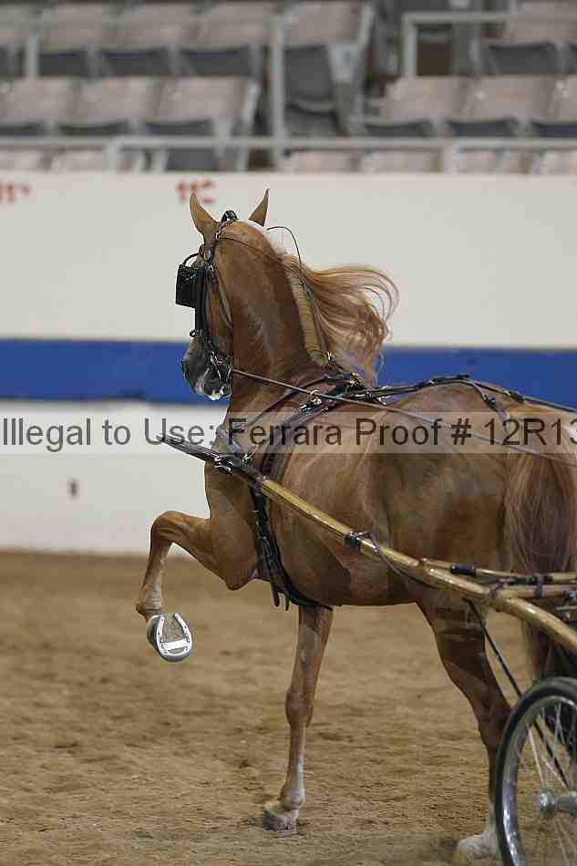 Proof 12r13_5335
