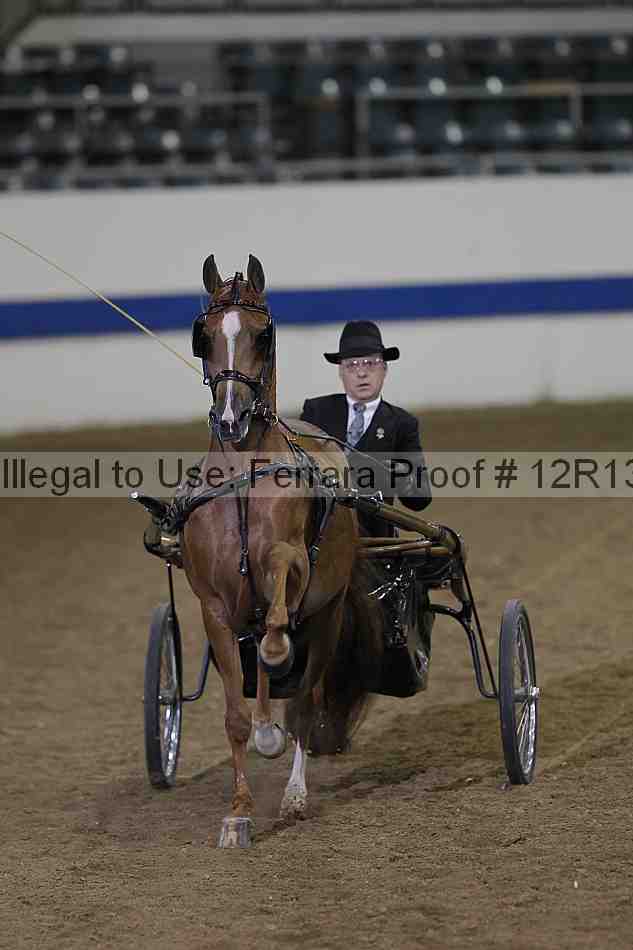 Proof 12r13_5336