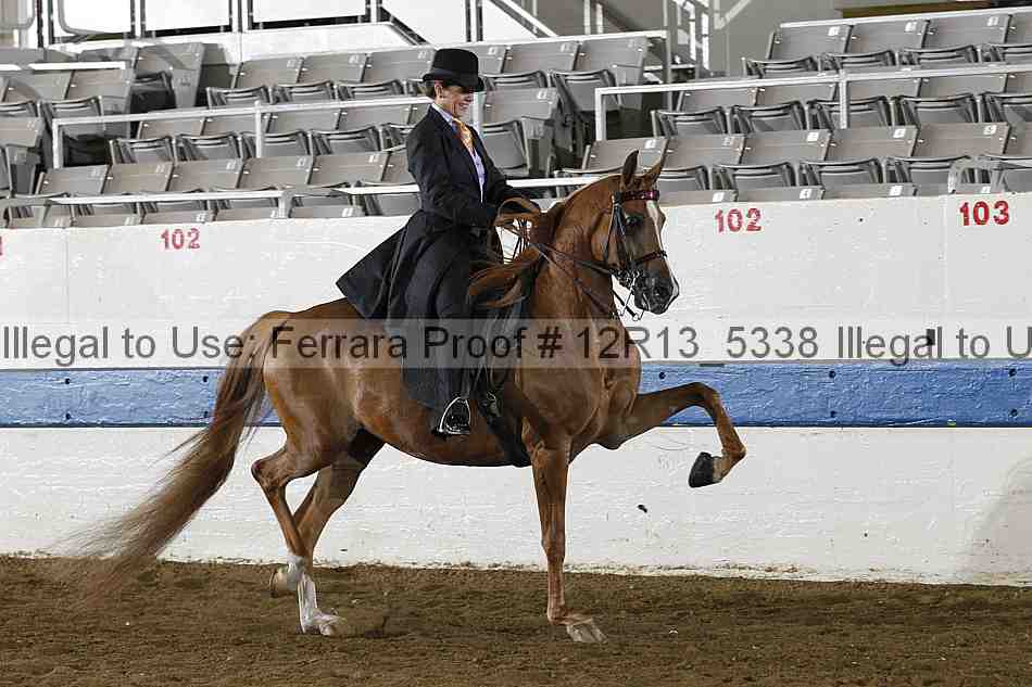 Proof 12r13_5338