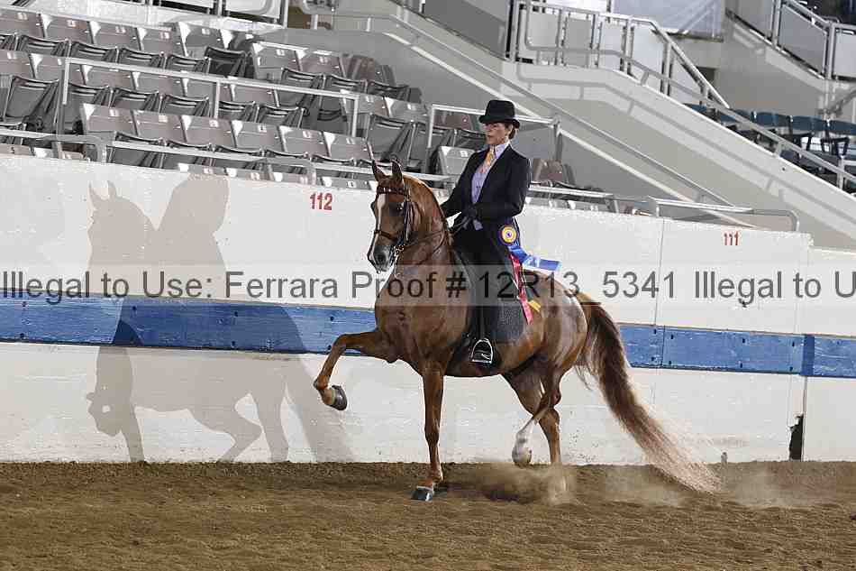 Proof 12r13_5341