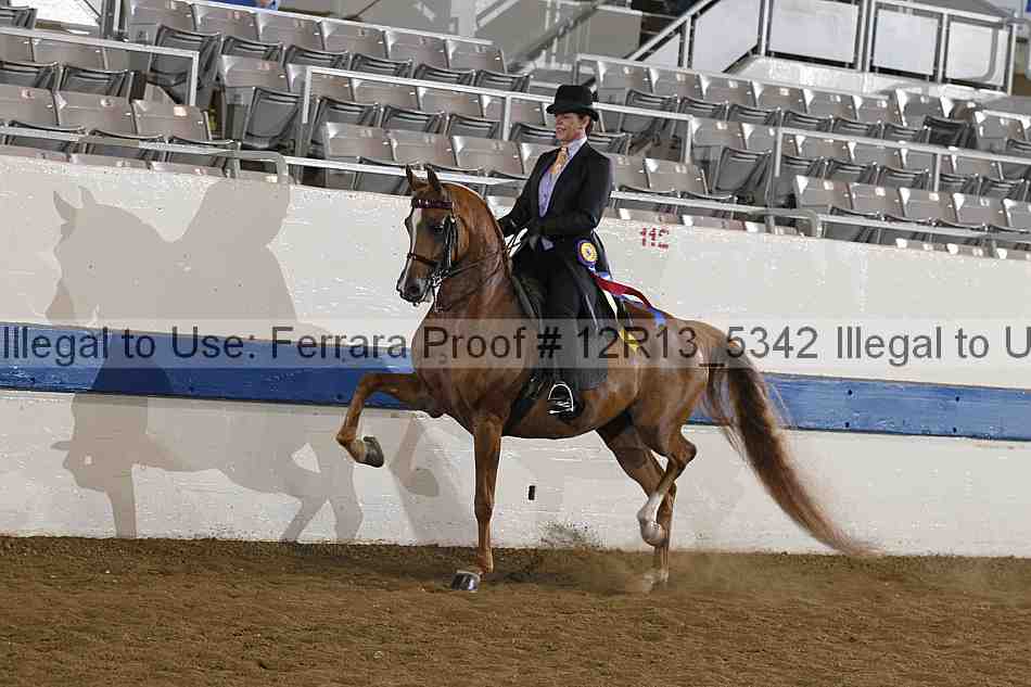 Proof 12r13_5342