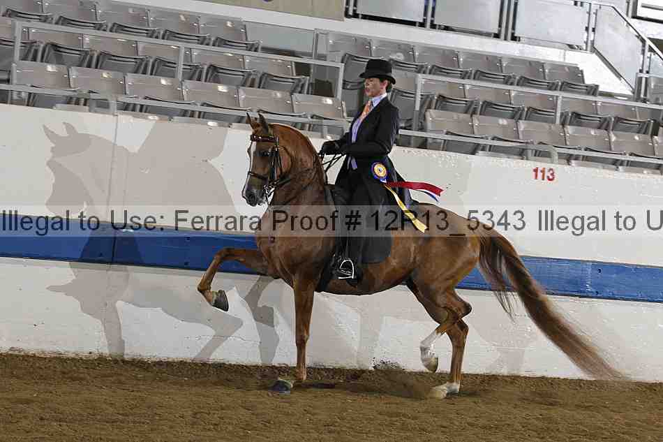 Proof 12r13_5343