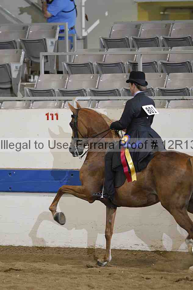 Proof 12r13_5345