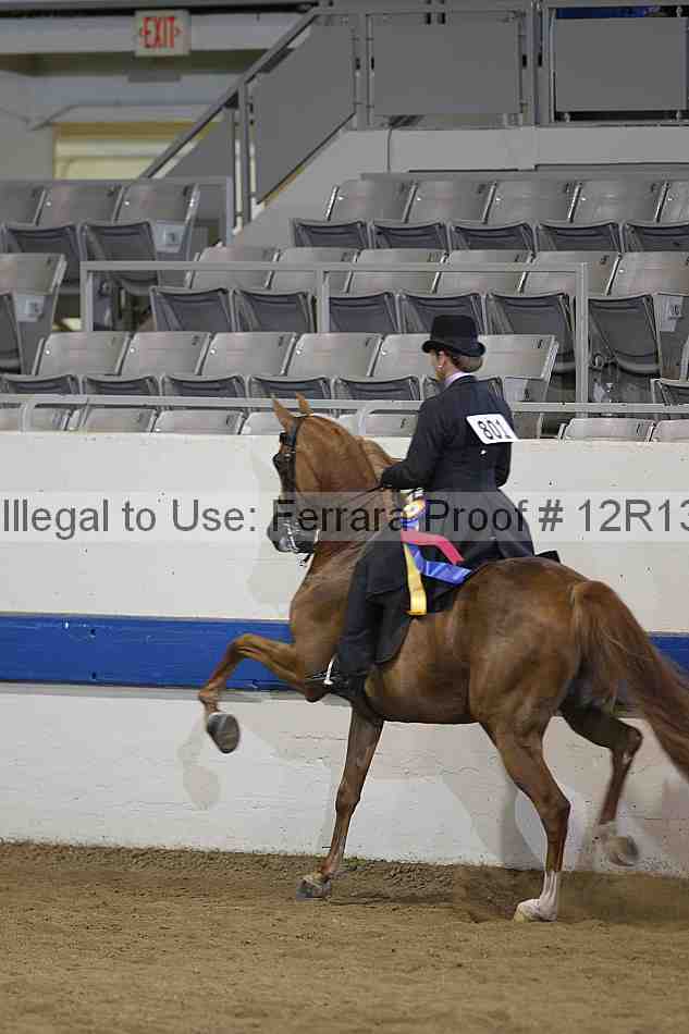 Proof 12r13_5346