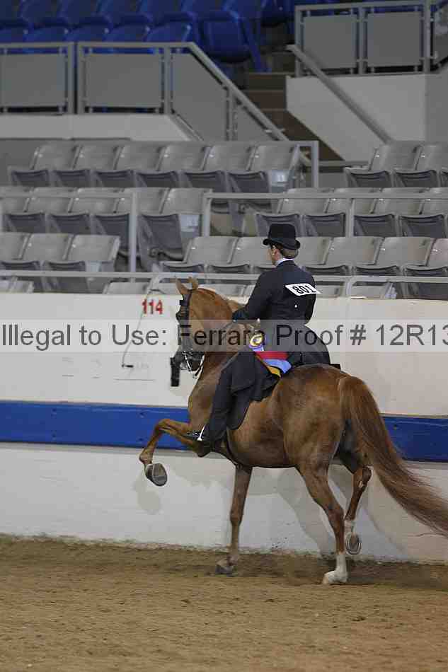 Proof 12r13_5347