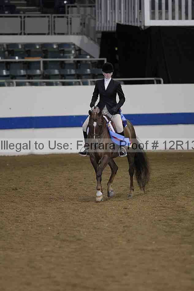 Proof 12r13_2305