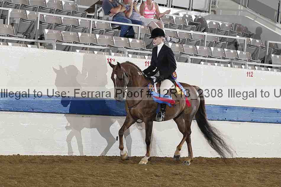 Proof 12r13_2308