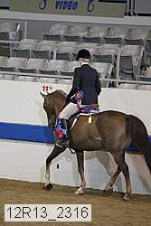 12r13_2316 proof