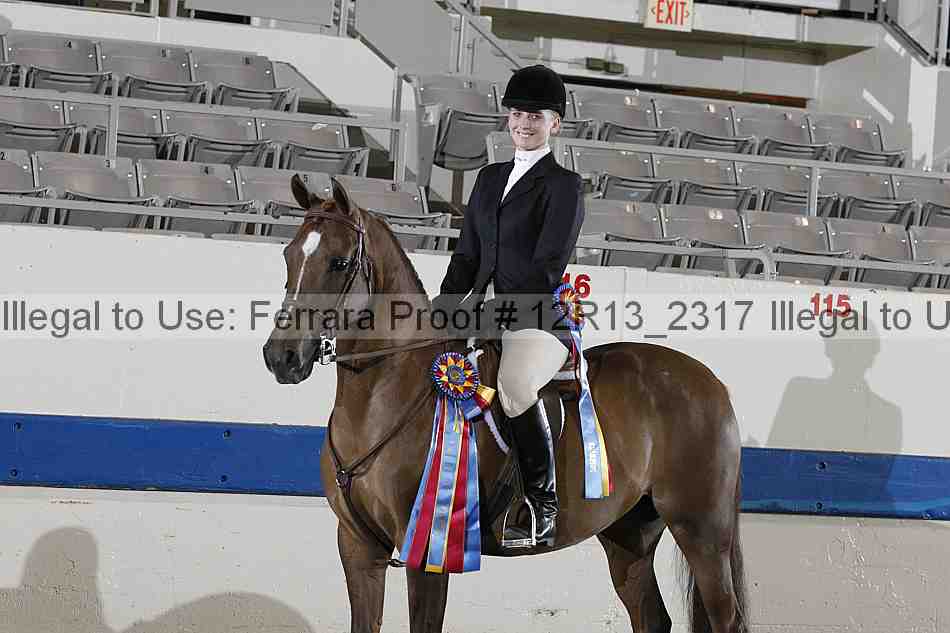 Proof 12r13_2317