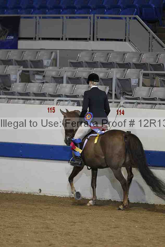 Proof 12r13_2318