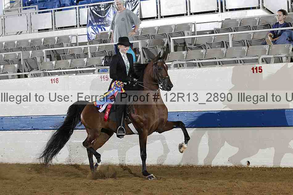 Proof 12r13_2890