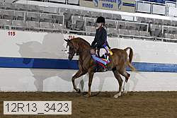 12r13_3423 proof