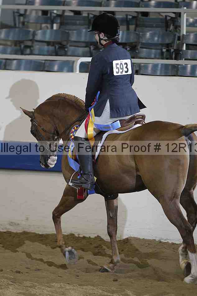 Proof 12r13_3426