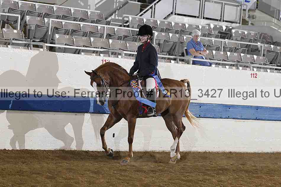 Proof 12r13_3427
