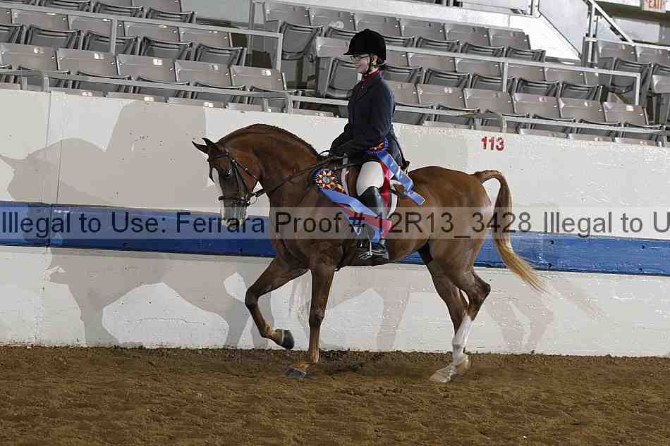 Proof 12r13_3428