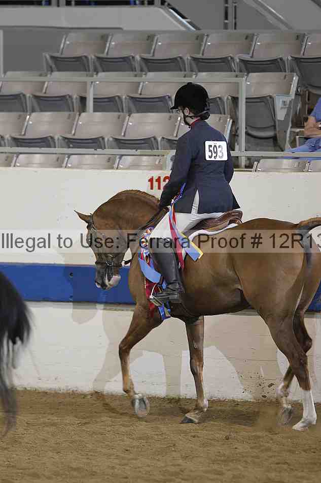 Proof 12r13_3429