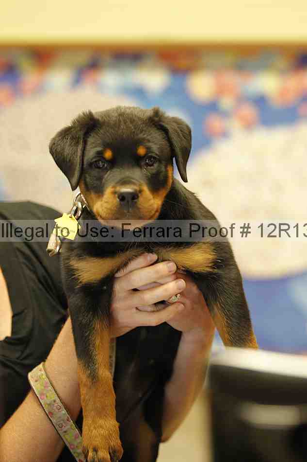 Proof 12r13_1456