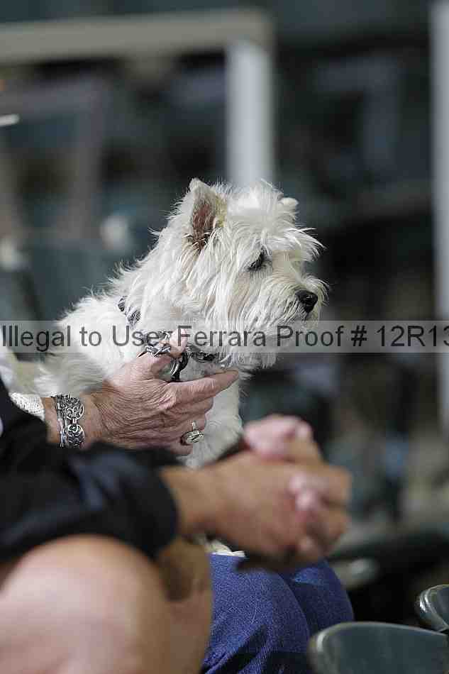Proof 12r13_2472