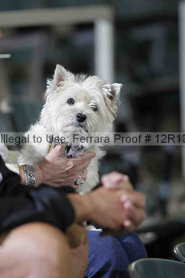 Proof 12r13_2473