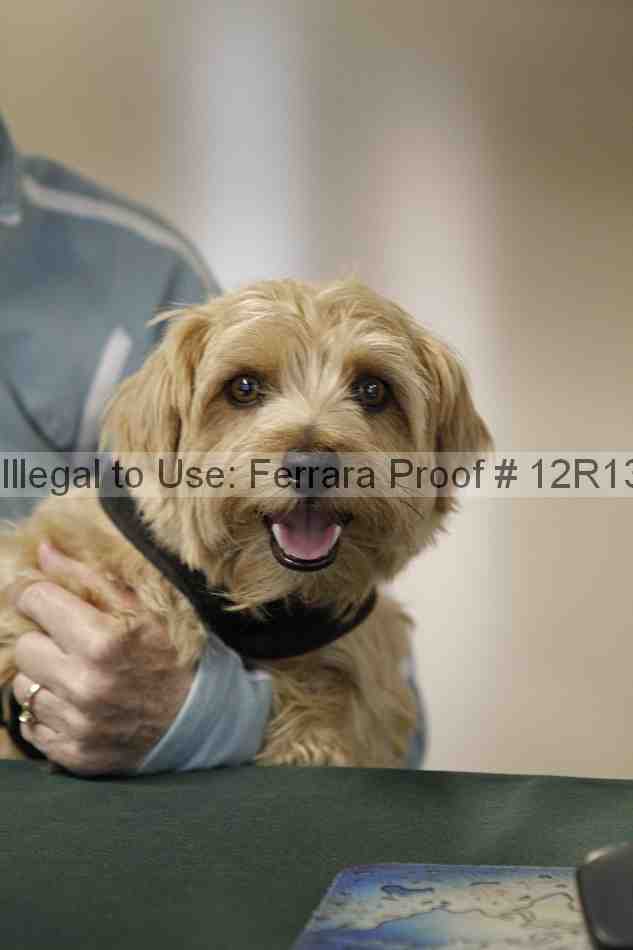 Proof 12r13_3432