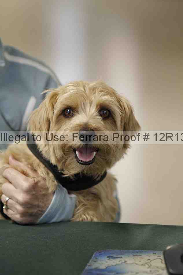 Proof 12r13_3433